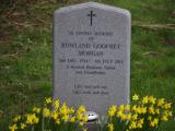 image of grave number 807861